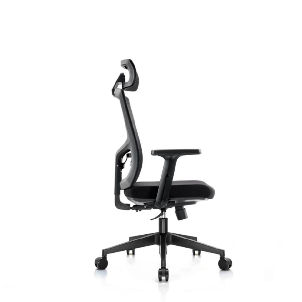 https://barry.maxease.com/wbadmin/img/products/images/large/156_2.png