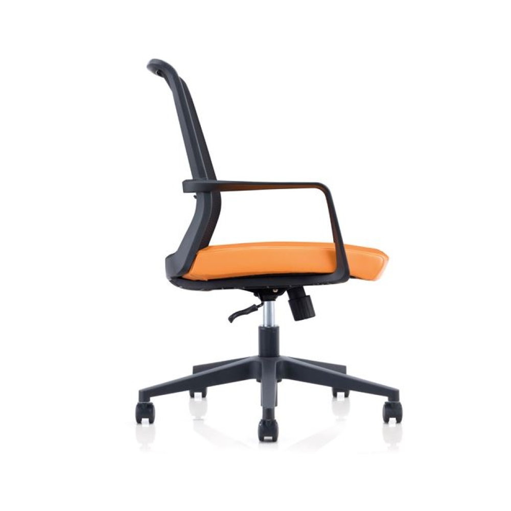 https://barry.maxease.com/wbadmin/img/products/images/large/278_B.jpg